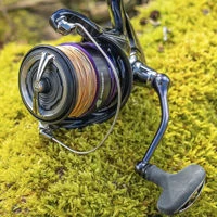 Daiwa 24 Prorex X LT